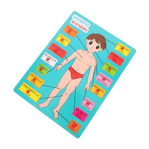 HAWILLOSCH 1 Set Spanisches Puzzle Anatomie Anatomie Sprechspiel Spielzeug Menschliche Körperteile Spielzeug Körperteile Puzzle Menschlicher Körper Puzzle Für Pädagogisches Puzzle von HAWILLOSCH