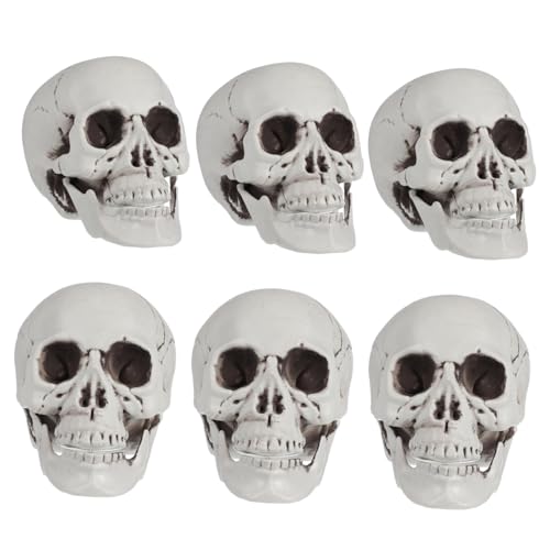 HAWILLOSCH 6 Stück Halloween Künstlicher Ornament Gruselige Schädel Für Geisterhaus Deko Spukhaus Partyzubehör Unheimliche Halloween Dekoration Für Innen Und Außen von HAWILLOSCH