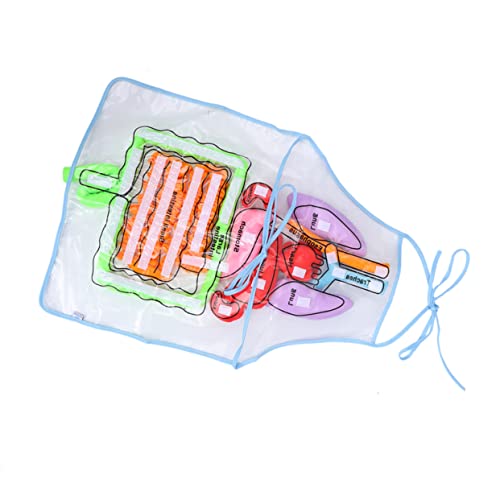 HAWILLOSCH Schürze Für Menschliche Organe Dartscheibe Kinder Unterrichtsschürze Lehrmittel Für Die Kindheit Kinder Lernen Schürze Bildungsschürze von HAWILLOSCH