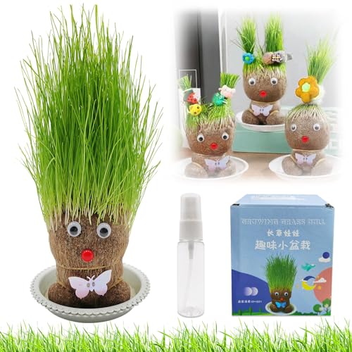 Graskopf Puppenpflanze, Graskopf Wachsende, Wachsende Graskopf Puppenpflanze, Graskopf Haarwuchs Spielzeug Mit Tablett, Mini Bonsai Gras Kopf Figure Puppen, Kinder Handwerk DIY Lustiges Geschenke von HBSFBH