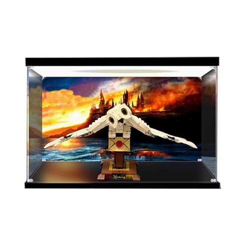 HCAEIOFJ Transparente Acryl-Vitrine für Lego HP 75979, anwendbar für Hedwig entworfene Displaybox, Geschenk (nur Vitrine) (Hintergrund + Oberlicht) von HCAEIOFJ