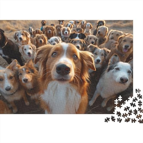 Australischer Schäferhund Puzzle 1000 Teile,Puzzle Für Erwachsene, Impossible Puzzle,Puzzle 1000 Puzzle Home Dekoration Puzzle,Erwachsenenpuzzle Puzzel 1000pcs (75x50cm) von HCXXAOEYP