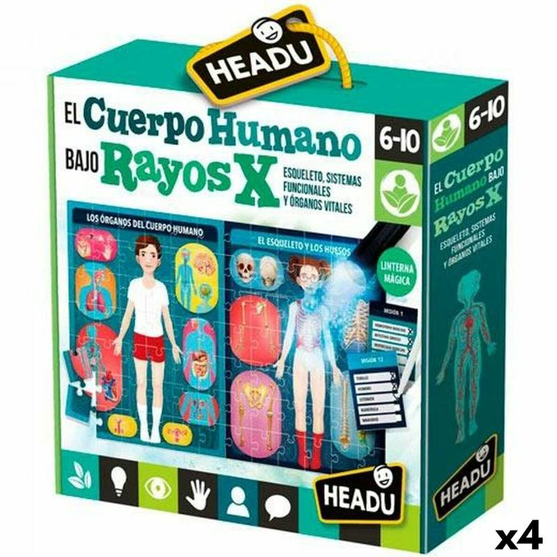 Spiel Kindererziehung HEADU El cuerpo humano Rayos X (4 Stück) von HEADU