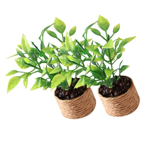 HEALSOPTHY 2 Stücke Miniatur Künstliche Pflanze Miniatur Topfpflanzen Tiny Spielzeug Für Wohnkultur HEALSOPTHY 2 Stücke Miniatur Künstliche Pflanze Miniatur Topfpflanzen Tiny Spielzeug Für Wohnkultur von HEALSOPTHY
