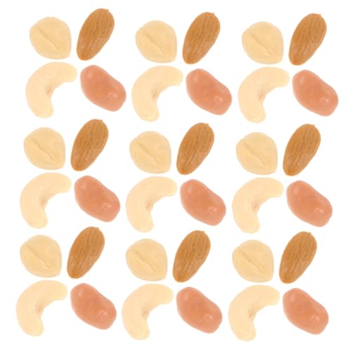 HEALSOPTHY Realistische Miniatur Modelle Kunststoff Deko Lebensechte DIY Bastel Nüsse für Puppenhaus Heimdeko Küchenfotografie Vielseitige Mini Lebensmittel Nachbildung HEALSOPTHY Realistische Miniatur Modelle Kunststoff Deko Lebensechte DIY Bastel Nüsse für Puppenhaus Heimdeko Küchenfotografie Vielseitige Mini Lebensmittel Nachbildung von HEALSOPTHY