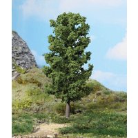 HEKI 1981 1 Buche 20 cm HEKI 1981 1 Buche 20 cm von HEKI