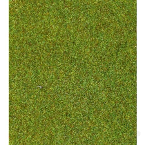 HEKI 30901 Hund Grasmatte, Größe: 75 x 100 cm, Farbe: Hellgrün, lichtgrün, M HEKI 30901 Hund Grasmatte, Größe: 75 x 100 cm, Farbe: Hellgrün, lichtgrün, M von HEKI