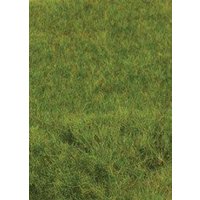 HEKI 3368 Grasfaser Wildgras Waldboden, 75 g, 5-6 mm von HEKI