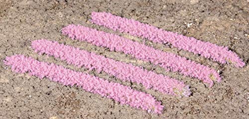 Heki 1826 10 Grasstreifen lavedel,100 mm lang, 6 mm hoch - Neu Heki 1826 10 Grasstreifen lavedel,100 mm lang, 6 mm hoch - Neu von HEKI