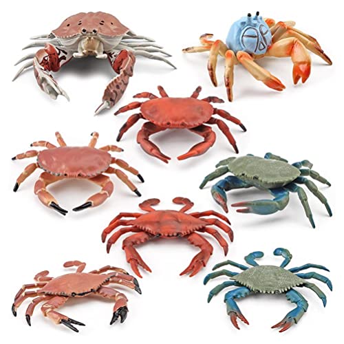 HELEVIA 8pcs Realistische Meerestierfiguren, Simulation Statische Krabben -Figuren, Kognitives Bildungsmodell für Desktop -Ornamentskollektionen Dekorationen HELEVIA 8pcs Realistische Meerestierfiguren, Simulation Statische Krabben -Figuren, Kognitives Bildungsmodell für Desktop -Ornamentskollektionen Dekorationen von HELEVIA