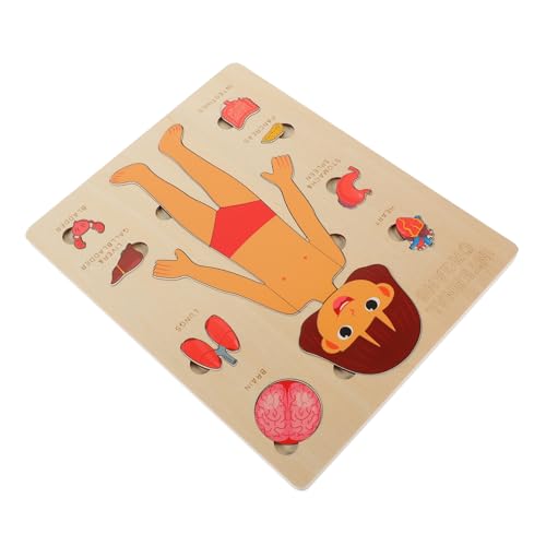 HEMOTON 1 Satz Puzzle Zur Struktur des Menschlichen Körpers Schaufensterpuppe Puzzlematte Puzzle Sortierschalen Puzzlekleber Spielzeuge Pädagogisches Puzzlespielzeug Kinderspielzeug Holz von HEMOTON