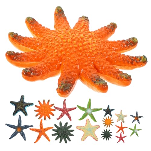 HEMOTON 16pcs Desktop Sea Star Decor Dekorative Seestern Figur Seemann von HEMOTON