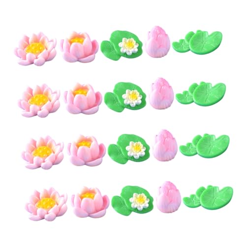 HEMOTON 20 Stück Teiliges Miniatur Harz Lotusblumen und Wasserresistente Aquarium Deko Natürliche Fischbehälter Ornamente Geeignet für Fischbecken Terrarien und Puppenhäuser HEMOTON 20 Stück Teiliges Miniatur Harz Lotusblumen und Wasserresistente Aquarium Deko Natürliche Fischbehälter Ornamente Geeignet für Fischbecken Terrarien und Puppenhäuser von HEMOTON