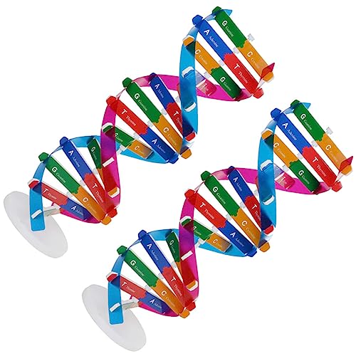 HEMOTON 6 STK DNA-Modell Lernhilfen Für Menschliche DNA Lernspielzeug Kinder Schaufensterpuppe DNA-Komponenten-Modell Molekülmodell Modelle DNA-kit Abs Student Geschenk Menschlicher Körper von HEMOTON