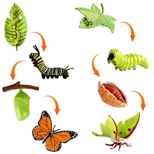 HENGBIRD 8 Stücke Schmetterling Lebenszyklus Spielzeugfiguren und Motte Figur aus Raupe zu Schmetterling Wachstumszyklus Kit Montessori Spielzeug Lernwerkzeuge Schule Projekt für Kinder 3-8 Jahre alt von HENGBIRD