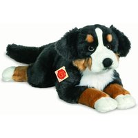 HERMANN TEDDY 92781 Berner Sennenhund liegend 60 cm von HERMANN TEDDY