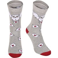 HP Hogwarts Letter (Grey Socks) L/XL von HEROES INC.EU