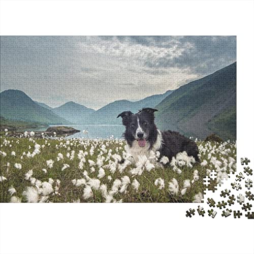 Dog 300 Teile Puzzles,holzpuzzle Puzzles Spiel,Entspannung Puzzle Spiele,mentale Übung Puzzle,Pet Für Jugendliche Und Erwachsene Geschenke 300pcs (40x28cm) von HESHS