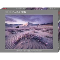 HEYE 299453 Puzzle 1000 Teile Arrow Dynamic, Edition Humboldt HEYE 299453 Puzzle 1000 Teile Arrow Dynamic, Edition Humboldt von HEYE