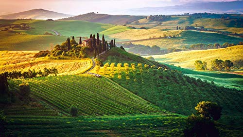 Rahmenlose Malen Nach Zahlen Für Erwachsene Und Kinder DIY Ölgemälde Geschenk Kits Italien Toskana Nebel Himmel Der Feld Villa DIY Zubehör Auf Leinwand 40X50CM von HHYSPA