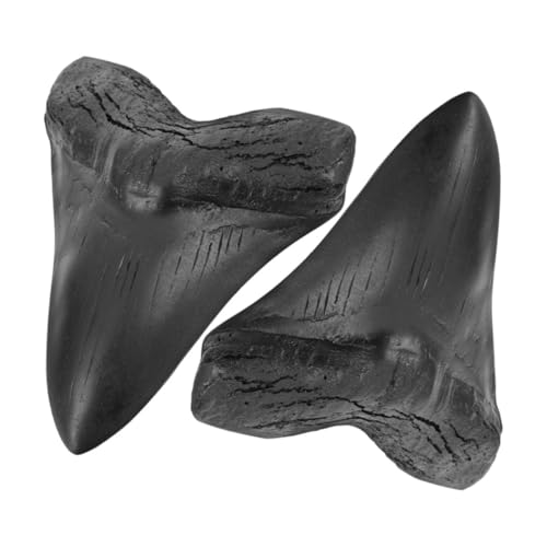 HIAKDOFT 2St Megalodon-Zahnfossil Dekorative Haizähne Haifischzahn Dekoration zähne dekor Zahnschmuck, Dekorationen Haifischzähne Dekoration aus Kunstharz Haifischzähne-Modell Black von HIAKDOFT