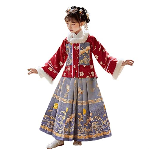 HIMKSRE Traditionelle Hanfu chinesische Retro Mädchen Kranich Print Kleider Kinder Mode eleganten Vintage Tang-Anzug(110) von HIMKSRE