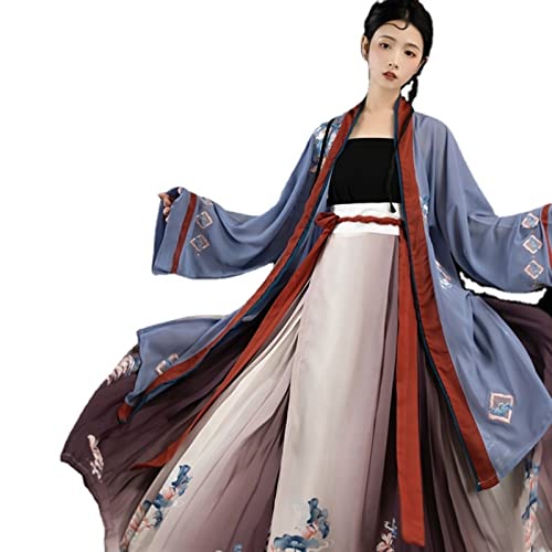 HIMKSRE Traditionelles Hanfu-Kleid im chinesischen Stil – antikes Tang-Dynastie-Prinzessin-Tanz-Performance-Kostüm, Folk-Fee-Hanfu-Kleider-Outfit(M) von HIMKSRE