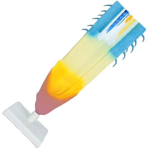 Realistische Pflanzenwurzel-Anatomie-Modell, anatomische Pflanzenwurzelmodelle, Biologie, Lernhilfe für Klassenzimmer, Demonstration, Biologie, Laborausrüstung Realistische Pflanzenwurzel-Anatomie-Modell, anatomische Pflanzenwurzelmodelle, Biologie, Lernhilfe für Klassenzimmer, Demonstration, Biologie, Laborausrüstung von HINAYOSAN