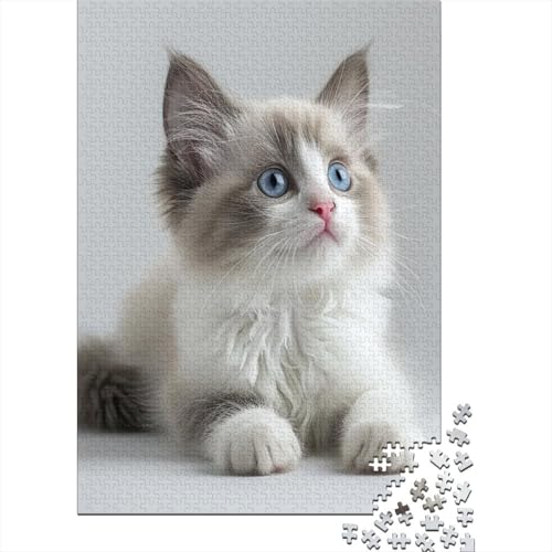 Cute Blue Auged Katze Puzzle 1000 Teile Erwachsener Kniffel Spaß Für Die Ganze Familie - Abwechslungsreiche 1000 Puzzleteilige Motive Puzzlespiel Erwachsene Puzzel 1000pcs (75x50cm) von HITBOD