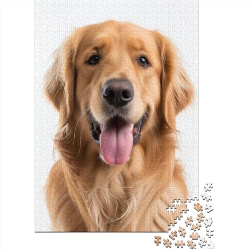 Golden Retriever Puzzle 1000 Teile Puzzle Für Erwachsene Und Kinder Ab 14 Jahren Puzzel 1000pcs (75x50cm) von HITBOD