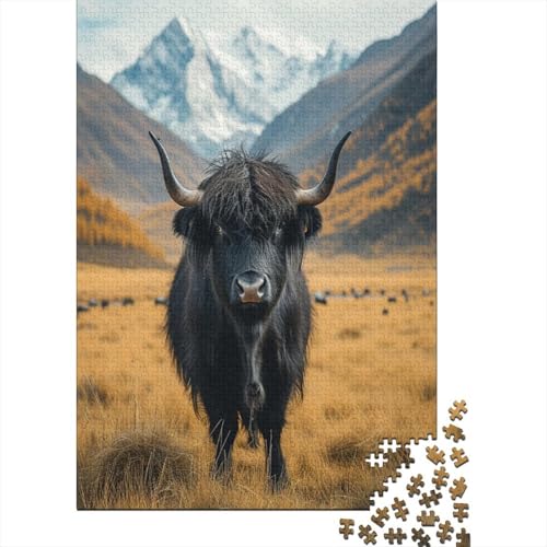 Highland Vieh Puzzle 1000 Puzzle Home DekoRatteion Puzzle,Erwachsenenpuzzle Puzzel 1000pcs (75x50cm) von HITBOD