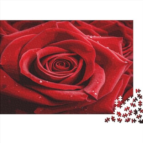 Red Rose Puzzle 1000 Teile Erwachsener Kniffel Spaß Für Die Ganze Familie - Abwechslungsreiche 1000 Puzzleteilige Motive Puzzlespiel Erwachsene Puzzel 1000pcs (75x50cm) von HITBOD