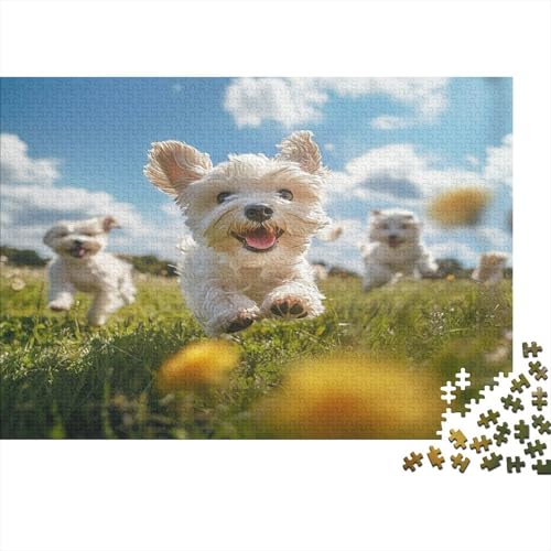 West Highland White Terrier Puzzle 1000 Teile Puzzles Für Erwachsene Lernspiel Herausforderungsspielzeug 1000-teilige Puzzlespiel Für Erwachsene Kinder Puzzel 1000pcs (75x50cm) von HITBOD