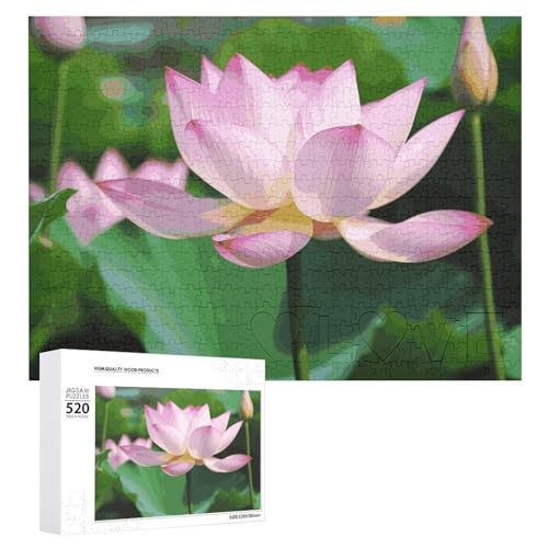 Lotus Holzpuzzle für Erwachsene, 520 Teile, schwierige, herausfordernde Puzzles, einzigartiges Denksport-Puzzle, einzigartige Form, fortschrittliche Puzzle, tolle Geschenkidee von HJKBCV