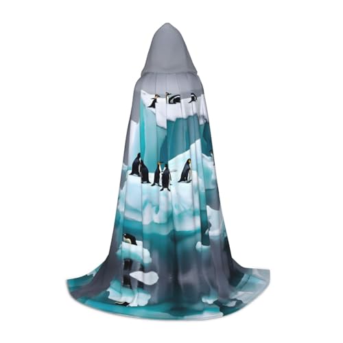 HJLUUFT Penguins On The Iceberg Teenager Kapuzenumhang Halloween Umhang Kostüm Maskerade Kleid Cosplay Kostüm von HJLUUFT