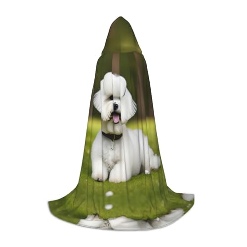 HJLUUFT Süßer Bichon Frisé-Hund Teenager Kapuzenumhang Halloween Umhang Kostüm Maskerade Kleid Cosplay Kostüm von HJLUUFT