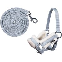 Halfter undrick -Hobby Horsing- grau Halfter undrick -Hobby Horsing- grau von HKM Sports Equipment GmbH