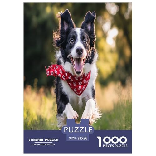 Der Border Collie Puzzles 1000 Teile Schwer Puzzle Spielzeug Lernspiel Impossible Herausforderung Spielzeug Für Erwachsene Und Kinder Ab 14 Jahren 38x26cm/1000pcs Der Border Collie Puzzles 1000 Teile Schwer Puzzle Spielzeug Lernspiel Impossible Herausforderung Spielzeug Für Erwachsene Und Kinder Ab 14 Jahren 38x26cm/1000pcs von HLXZMCVBT
