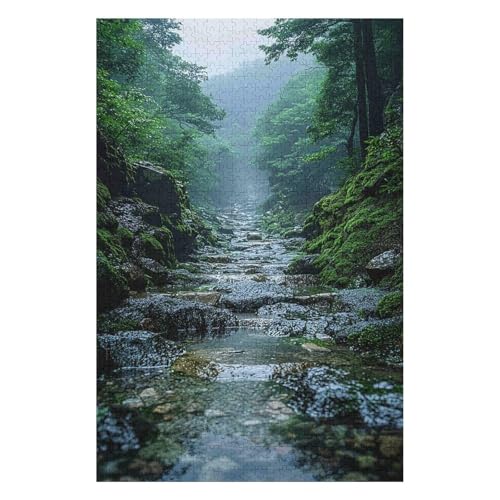 1000 Piece Jigsaw Puzzles for Adults,Yakushima Island,DIY Toys Relax Puzzles Games Impossible Puzzles Games Gift Multi Colour Educational Games 1000pcs(38 * 52cm) von HNBDE