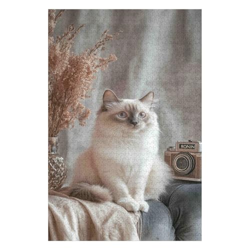 Cat Ragdoll Cat 1000 Piece Jigsaw Puzzles for Adults - Fun, Challenging & Brainteasing Adults Jigsaw Puzzle - Uncover The Puzzle - 100% Recycled Cardboard - 1000pcs -50 * 70cm von HNBDE