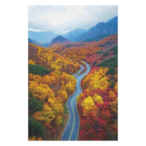 Jigsaw Puzzles 1000 Pieces for Adults Jigsaw Puzzles for Adults 1000 Piece Puzzle Educational Games，Highway Autumn Scenery(50 * 70cm) von HNBDE