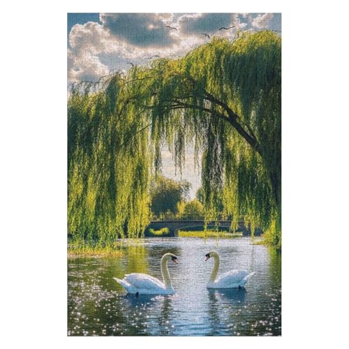 Swan，Puzzles 1000 Pieces for Adults Jigsaw Puzzles Birthday Gift for Kids Teens Family Home Decor-Style -1000PCS-Style(38 * 52cm) von HNBDE