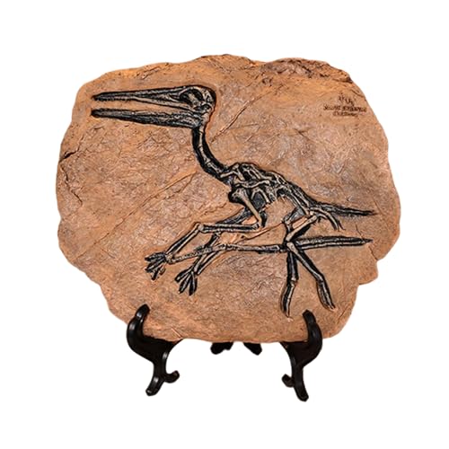 HNsdsvcd Dinosaurier Fossilienharze Dinosaurier Skelettmodell Schädel Statue Knochenfiguren Replikate Für Desktop Buchregal Display von HNsdsvcd