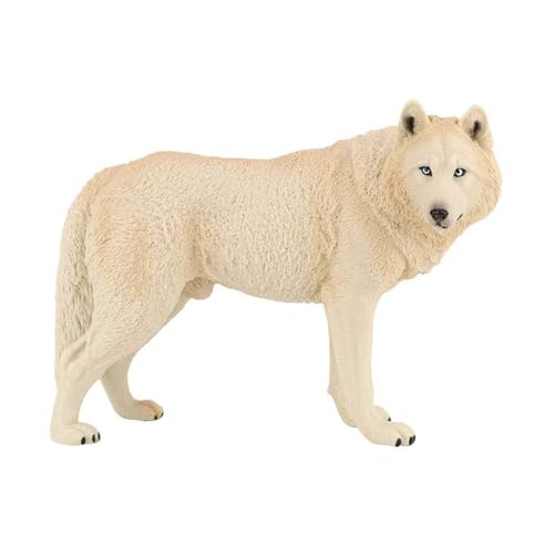 HNsdsvcd Realistisches Wolffigurenspielzeug Mit Detailsimulationstier Für Ausstellungsausstellung Und Kinderwissenschaftsprojekte von HNsdsvcd