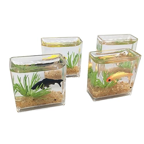Quadratisches/rundes Mini-Aquarium, realistische Glasdekoration für Puppenhaus-Display, faszinierende Miniatur für Bastelarbeiten, Ornamente, Heimdekoration, Handwerk von HNsdsvcd