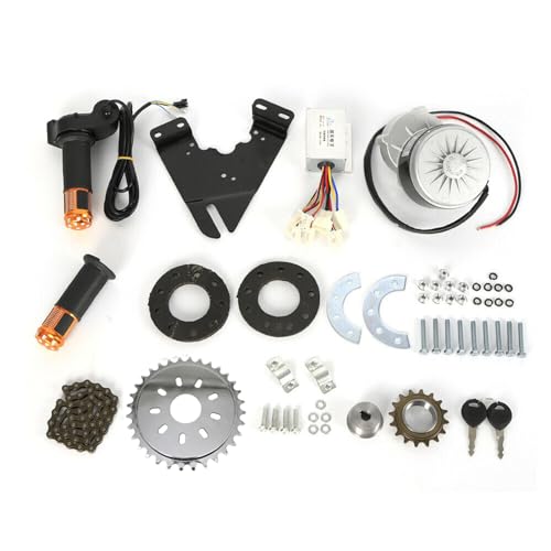 HOARLICN 24v 350W Elektro Ebike Conversion Thumb Kit, E-Bike-Umrüstsatz Elektrofahrrad Umbausatz Bürstenmotor e-Bike Conversion Thumb Kit von HOARLICN