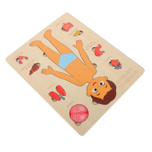 HOMOBABE Puzzle aus Holz Menschlicher Körper Pädagogisches Lernspielzeug zur Organkunde Vorschul Lehrmittel für Wissen über Körperstruktur und Organe HOMOBABE Puzzle aus Holz Menschlicher Körper Pädagogisches Lernspielzeug zur Organkunde Vorschul Lehrmittel für Wissen über Körperstruktur und Organe von HOMOBABE