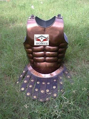 HOMYZ Copper Antique 300 Spartan Muscle Armor Jacket Renaissance Roleplay Cosplay Armor Movie King Leonidas Muscle Jacket Movie Spartan Costume von HOMYZ