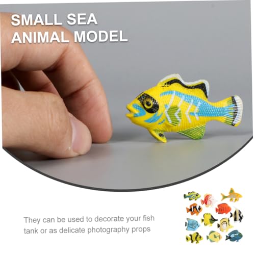 HONMEET 12 Stück Teiliges Kleine Dekorative Meeresbewohner Modelle aus Realistisch Gestaltetes und Zimmerdekoration für Lebendige Tischdekoration mit Verschiedenen Ozeanmotiven HONMEET 12 Stück Teiliges Kleine Dekorative Meeresbewohner Modelle aus Realistisch Gestaltetes und Zimmerdekoration für Lebendige Tischdekoration mit Verschiedenen Ozeanmotiven von HONMEET