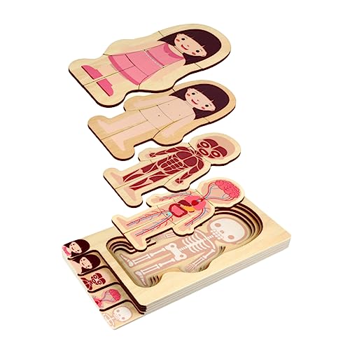 HONMEET 1pc Body Constitution Puzzle Spielzeug Holz Multilayer Pädagogisches Puzzle Spielzeug Mädchen Muster Spielzeug von HONMEET